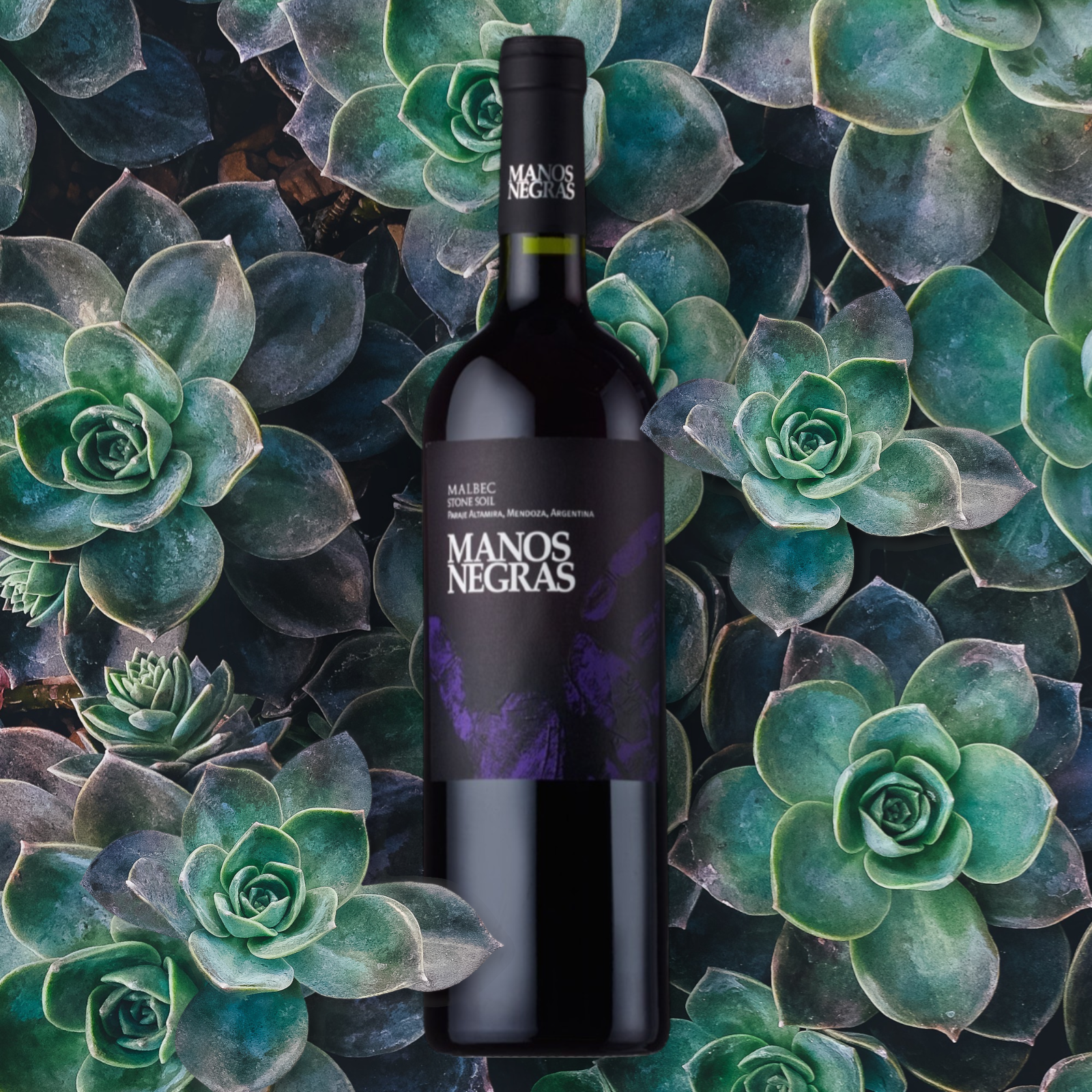 Manos Negras-Stone Soil Select Malbec, Paraje Altamira, Argentina