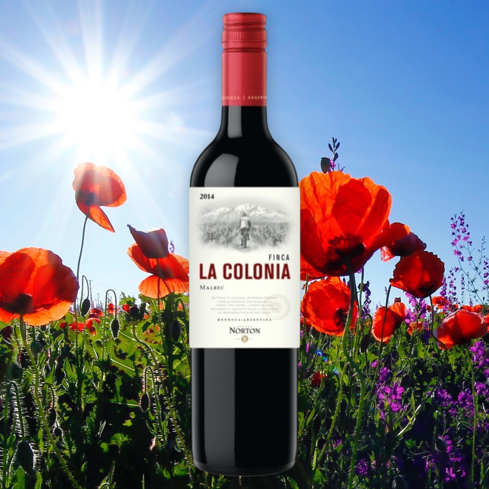 La Colonia - Malbec