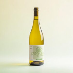 Sauvignon Blanc 'Fleur de Printemps', Domaine de la Rochette, Touraine, Loire Valley, France