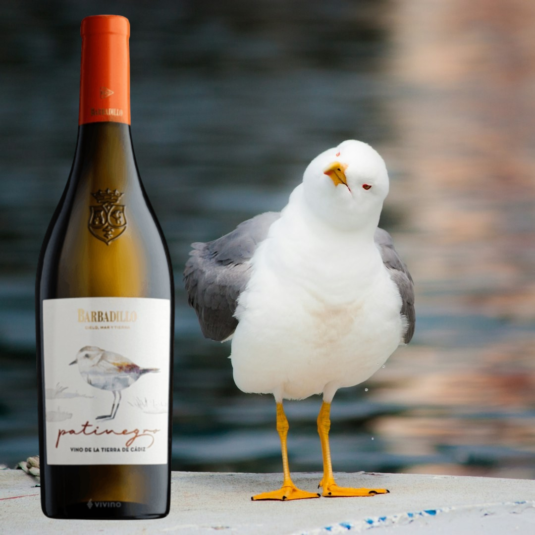 Patinegro Palomino Fino, Bodegas Barbadillo, Andalucia, Spain 2021