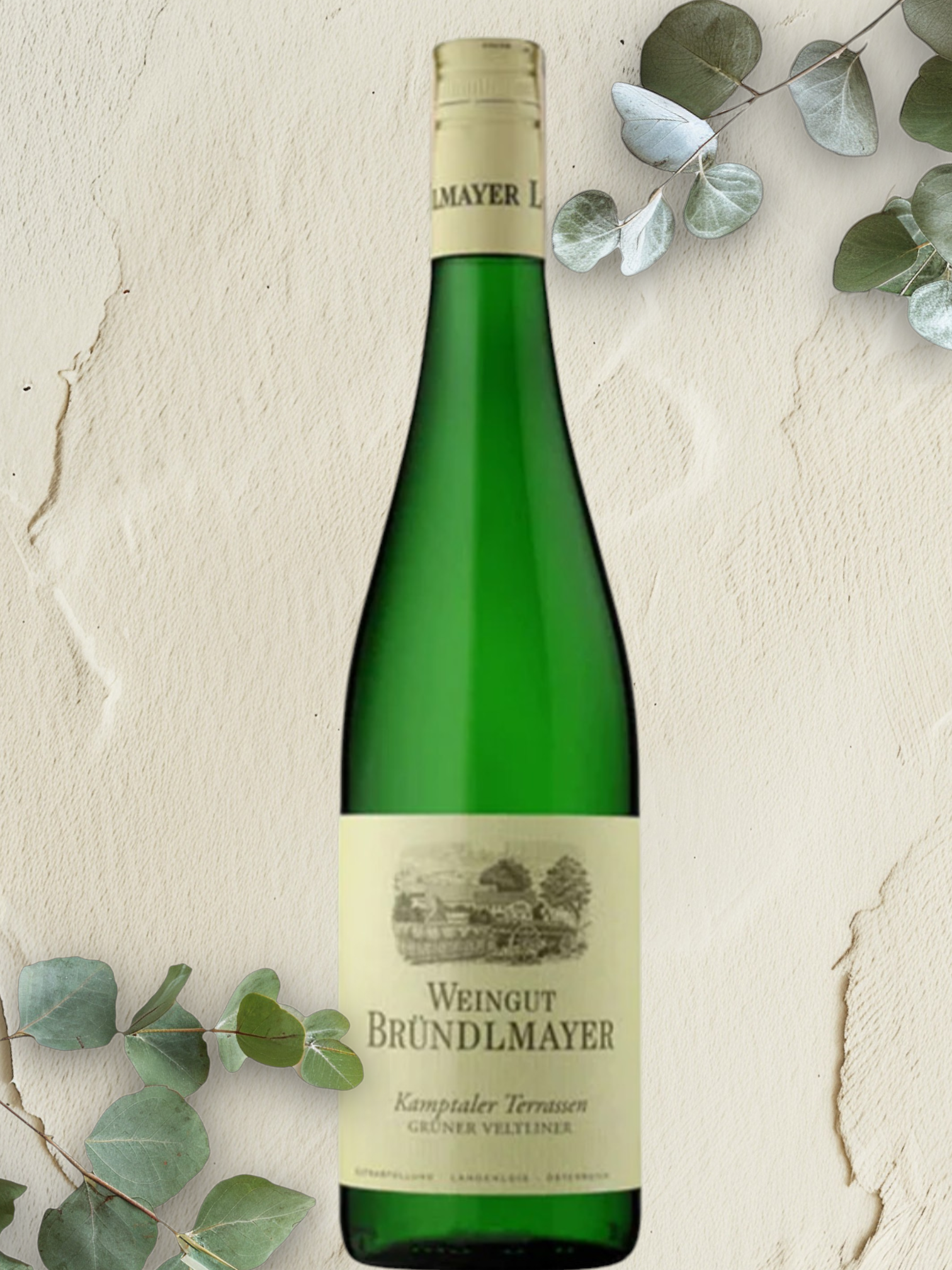 Grüner Veltliner Kamptaler Terrassen, Brundlmayer, Langenlois, Kamptal, Austria