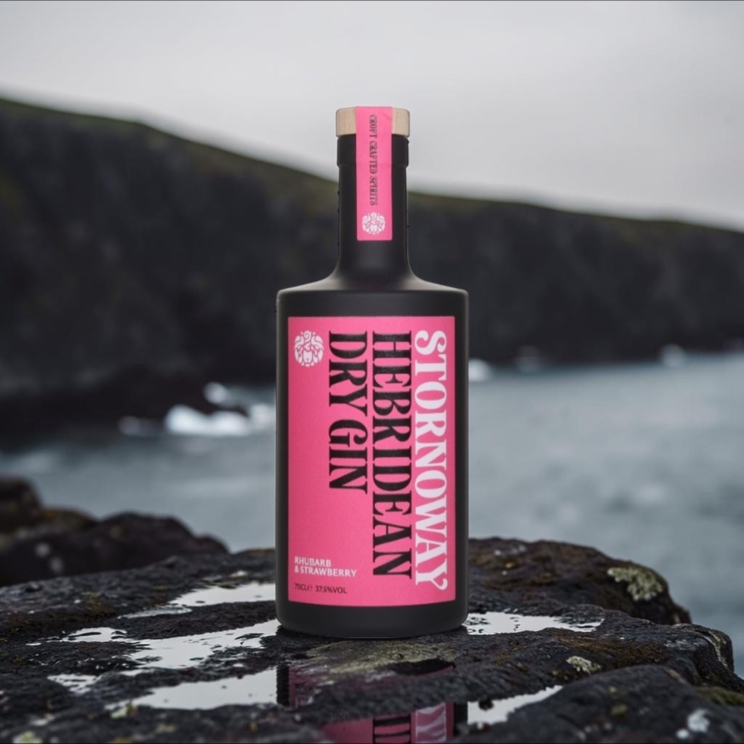 Stornoway Rhubarb Dry Gin - 70cl
